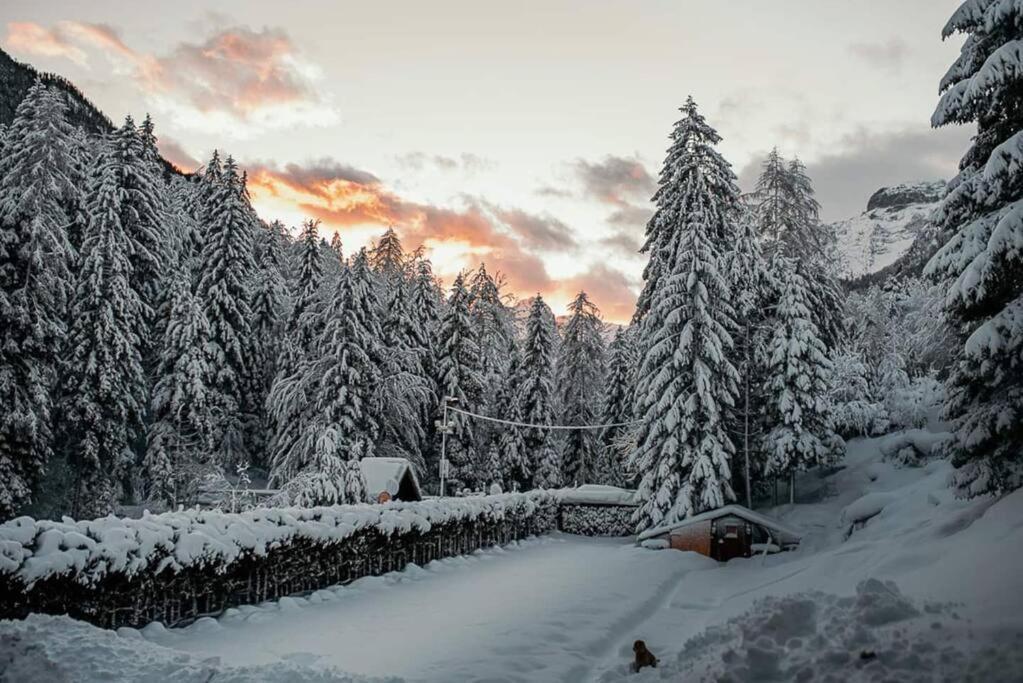 Idyllic Triglav Forest Retreat - Alps, Trails, Lakes, Falls Mojstrana Luaran gambar